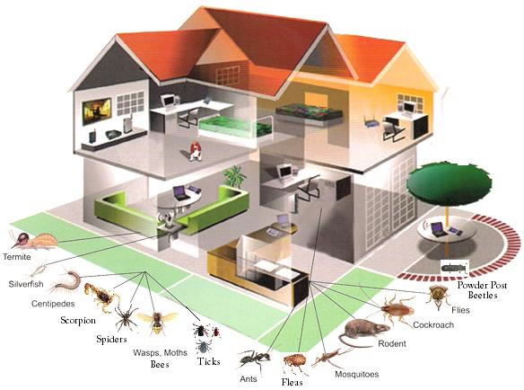 acpm_reno_pest_control